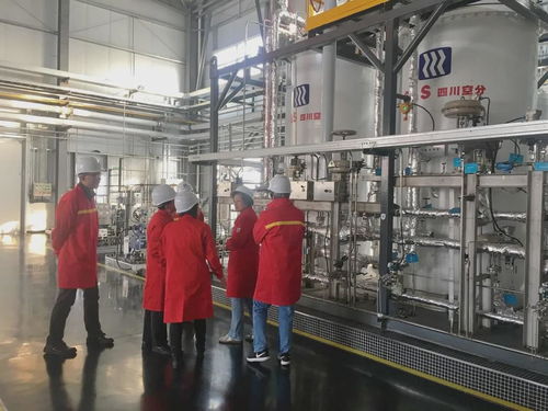 國內(nèi)首套百萬方級LNG-BOG提取高純氦氣裝置通過科技成果鑒定，萬方宏盛科技引領(lǐng)行業(yè)突破